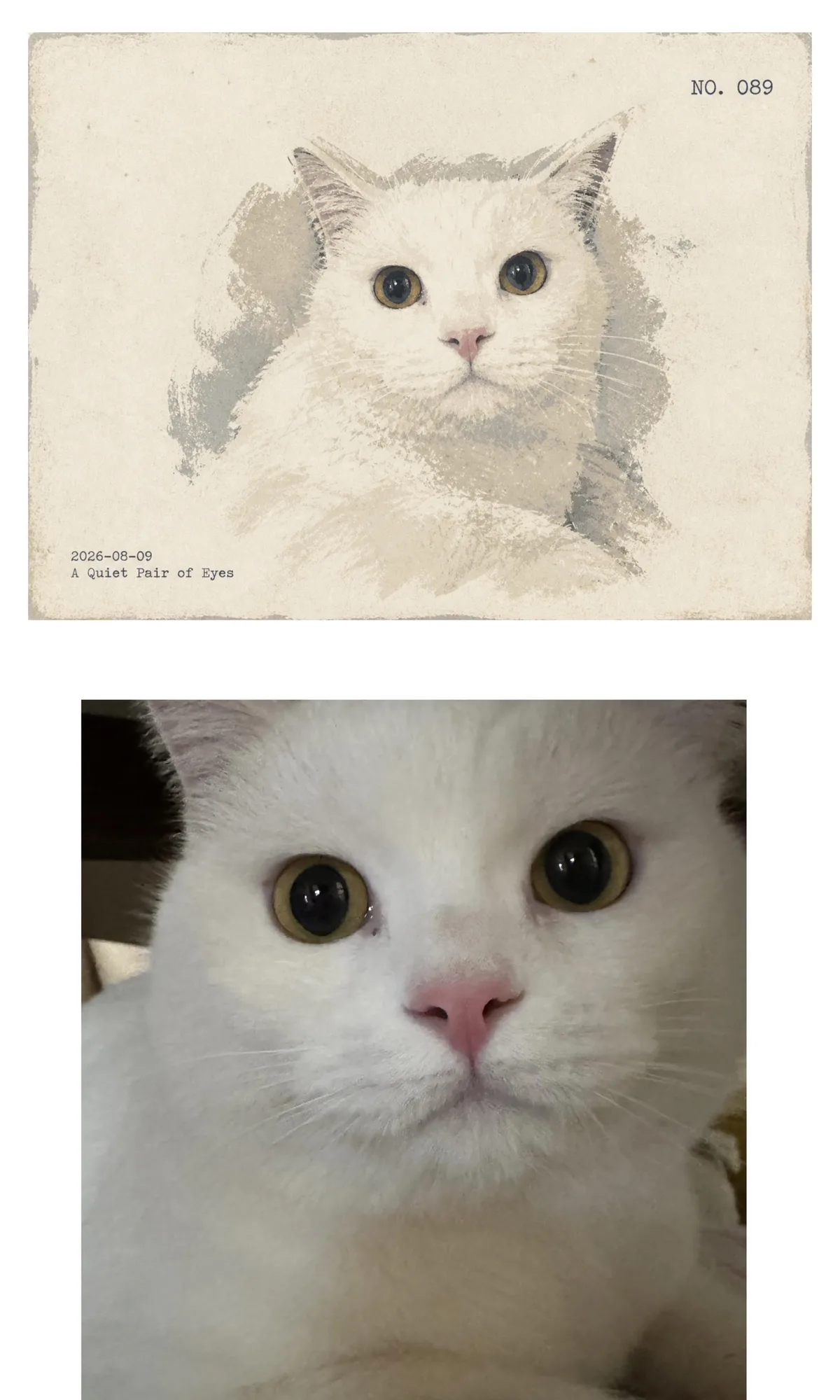ai-editorial-print-studio public output example contributed by 理智画