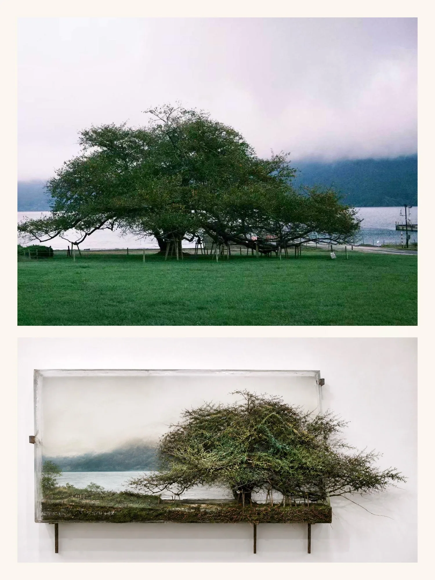 ZONE-Material-art public output example contributed by 卓一_Z·ONE